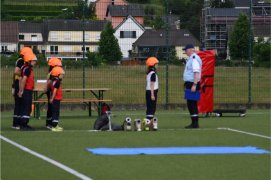 Fédération Nationale des Pompiers